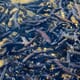 Surge in Russian trout production thumbnail image