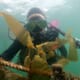 San Diego extends agreement with sunken seaweed pilot farm thumbnail image