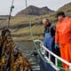 Europe to promote seaweed and algae production thumbnail image