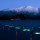 Norway moots 40 percent tax for the country’s largest trout and salmon farms thumbnail image