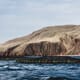 UK regulator clears Scottish Sea Farms' purchase of Grieg's Shetland sites thumbnail image