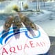 AquaEasy and eFishery target improvements to Indonesia's shrimp farms thumbnail image