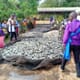 Mass tilapia mortalities reported in Lake Victoria thumbnail image