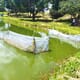 The pros and cons of pond vs cage aquaculture in Kenya thumbnail image