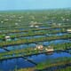 Indonesia aims for creation of "aquaculture village" network thumbnail image