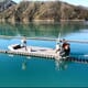 Oyster farming technology coming up from Down Under thumbnail image