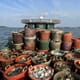 Oyster company launches restoration project in Chesapeake Bay thumbnail image