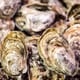 Breeding oysters that are resistant to herpesvirus thumbnail image