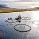 Project aims to boost the use of renewables in aquaculture thumbnail image