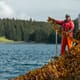 Oregon culinary event aims to catalyse interest in seaweeds thumbnail image