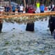 India sets 9.7 million tonne seaweed target thumbnail image