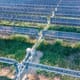 Taiwan to build solar-powered fish farm thumbnail image