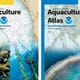 NOAA backs Aquaculture Opportunity Areas thumbnail image