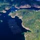 Five innovative aquaculture projects land funding in BC thumbnail image