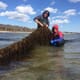 Exploring how kelp farming can tackle climate change thumbnail image