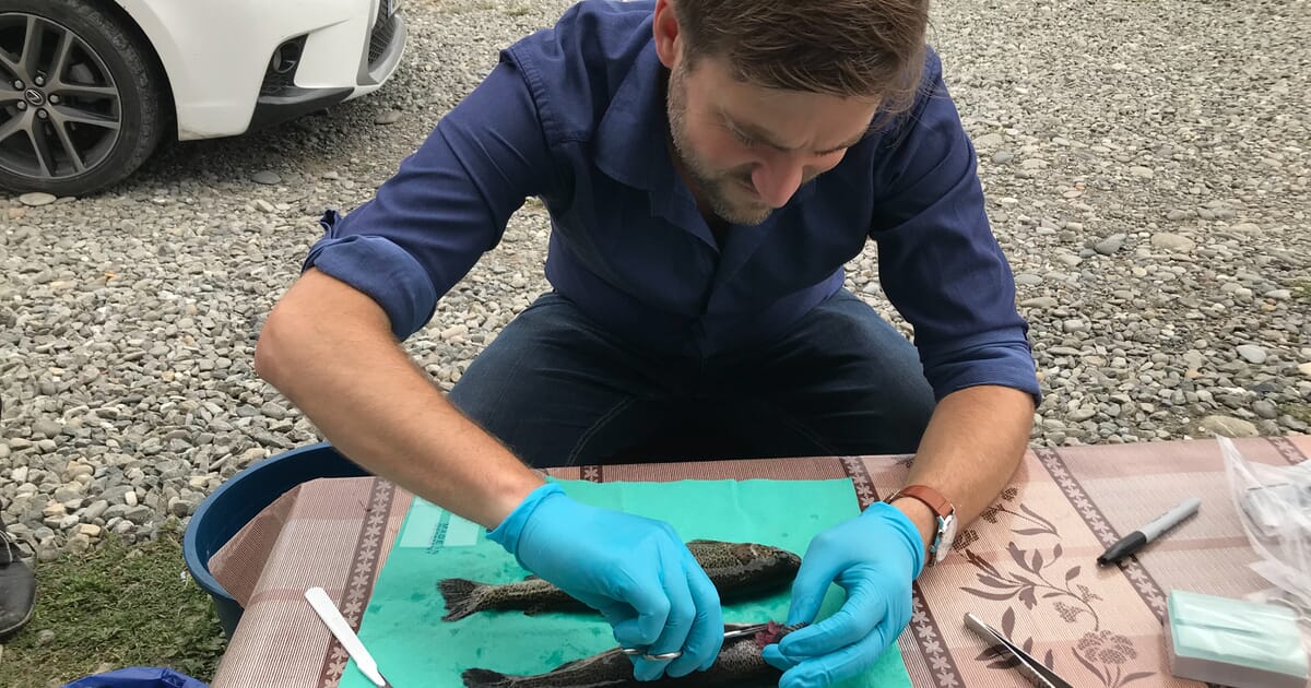 Amr In Aquaculture A Fish Vet S Perspective The Fish Site
