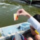 Six tips for water quality management in shrimp farming thumbnail image