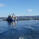Tackling the poaching problem at fish farms in the Med thumbnail image