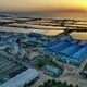 Insights from Israel’s number-one fish farm thumbnail image