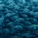 Advancing selective breeding in sea bass and sea bream thumbnail image