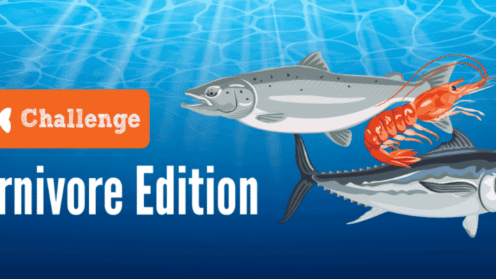 Aquafeed prize saves 88 million fish and counting thumbnail image