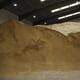 Vietnam to regulate levels of fishmeal preservative in aquafeeds thumbnail image