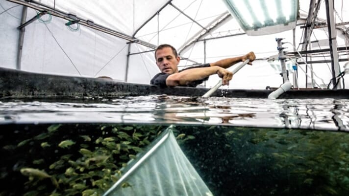 NOAA pledges $14 million for aquaculture investments thumbnail image