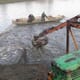 Croatians to launch beluga sturgeon farm thumbnail image