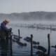 The evolution of an oyster farming startup thumbnail image