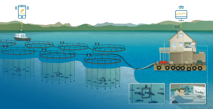 Aquaponics fish welfare Beer Eases Final Moments for Euthanized Invertebrates