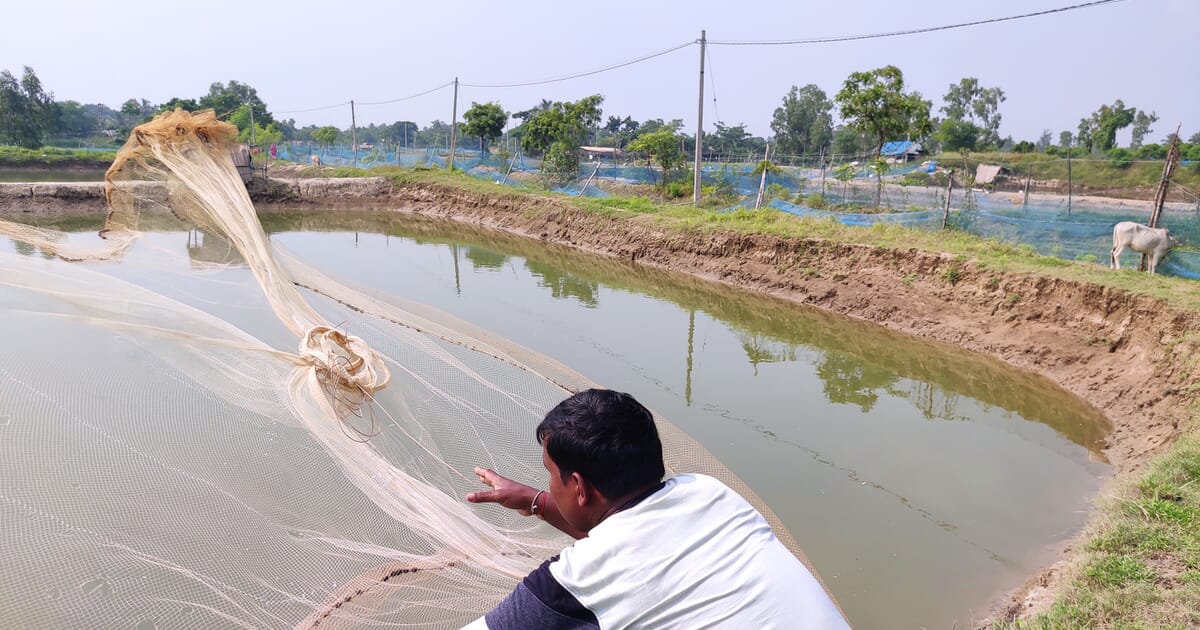 Efficacy Of Demolishment Of Prawn Farms In Bhitarkanika In Odisha: Progress Or A Loop Of Regenerative Drive? Efficacy Of Demolishment Of Prawn Farms In Bhitarkanika In Odisha: Progress Or A Loop Of Regenerative Drive?