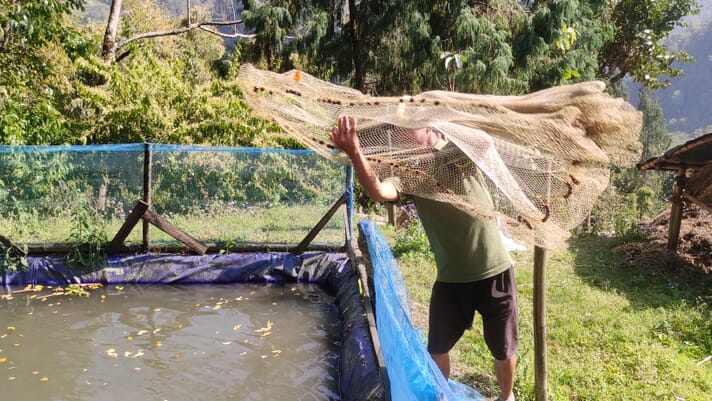 A look at Darjeeling's cold water carp farming system thumbnail image
