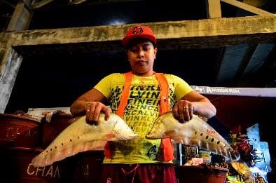 Is The Aquaculture Of Invasive And Non Native Species Worth The Risk The Fish Site