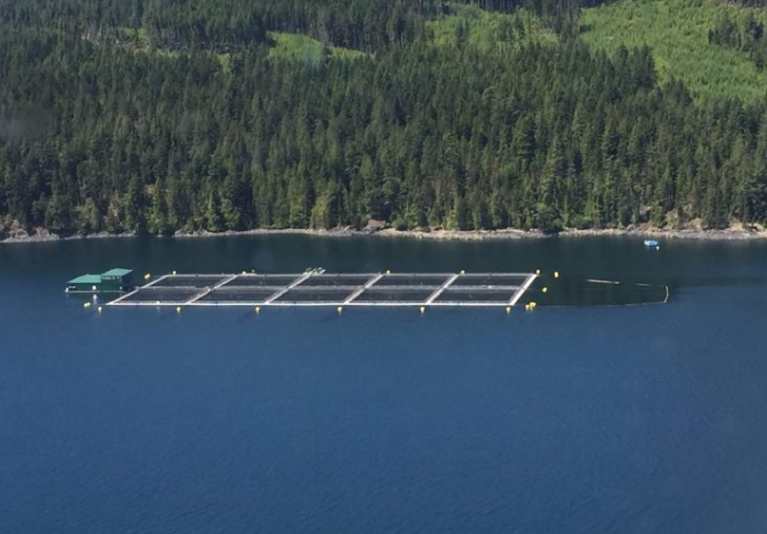 Net Pen Salmon Farms To Be Phased Out In BC | The Fish Site