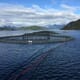 Innovate BC hosts first-ever Aquaculture Innovation ﻿Awards thumbnail image