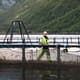 Why Norway’s salmon tax could dramatically backfire thumbnail image