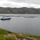 Grin and Barents: Russian Aquaculture looks to lucrative times ahead thumbnail image