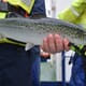 Scots aim for lice-resistant salmon thumbnail image