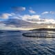 Emerging sustainability framework lays “foundation stone” for improved UK aquaculture thumbnail image