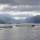Mowi Scotland appeals inconsistent salmon farm planning decision thumbnail image