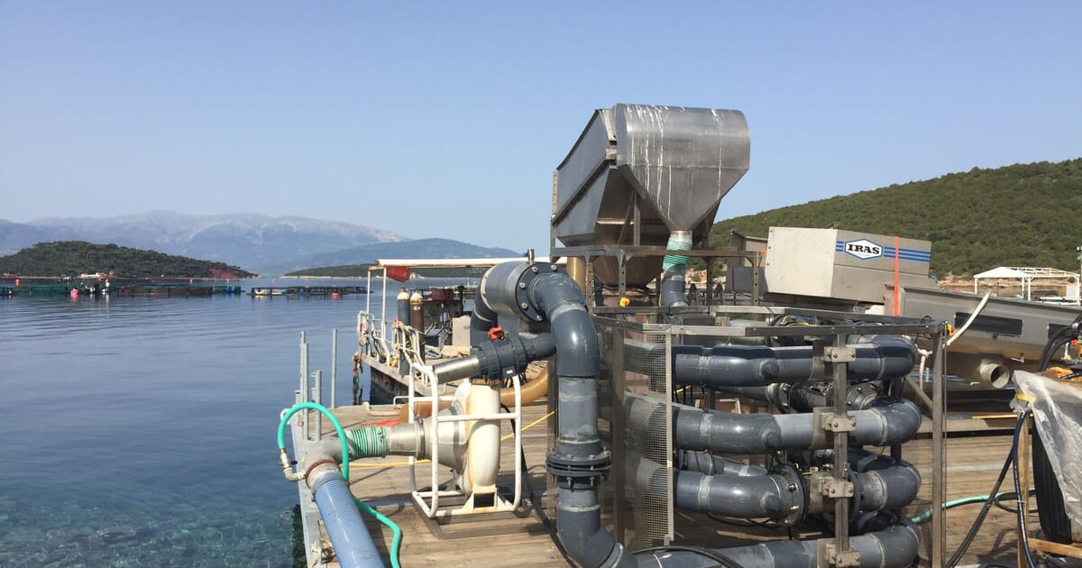 Fish Stunning Study Offered Six Figure Funding The Fish Site