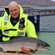 Scottish salmon farmers hit new heights thumbnail image