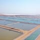 £39 million shrimp farm opens in Oman thumbnail image