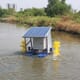 Researchers design a solar-powered shrimp pond aerator thumbnail image