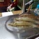 Why small-scale, tank-based shrimp production is on the rise thumbnail image
