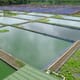The case for land-based and freshwater fish farms thumbnail image