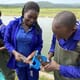 Improving East Africa's farmed tilapia strains thumbnail image