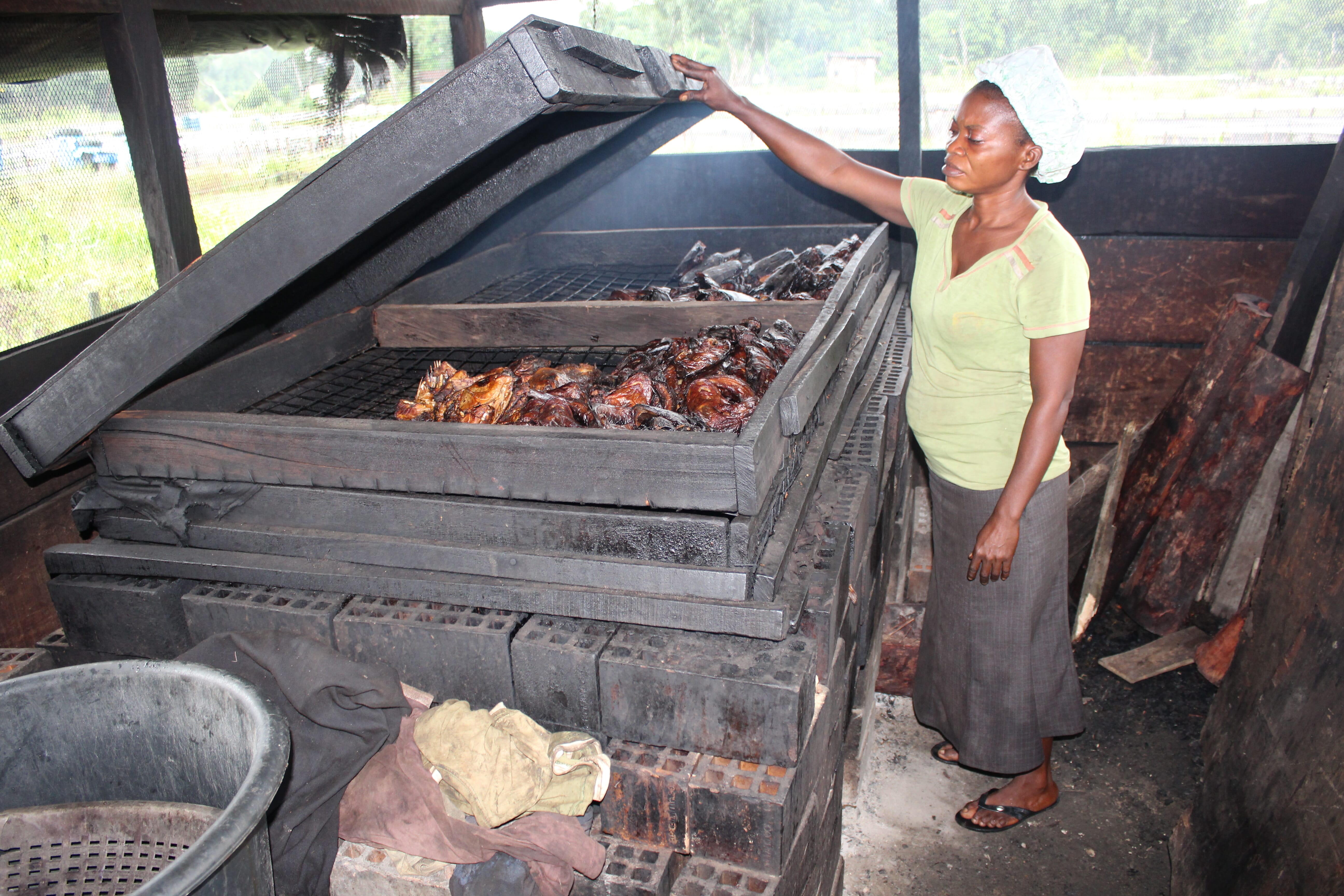 home fish smoker