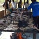 Concerns over Sub-Saharan Africa's aquaculture slowdown thumbnail image