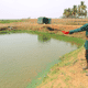 How aquaculture can make inroads into Nigeria's $1 billion seafood trade deficit thumbnail image
